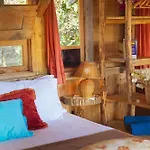 Fidanka Kalkan
