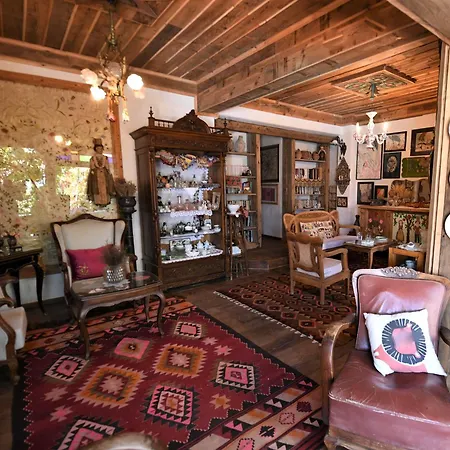 ホテル Fidanka 3*