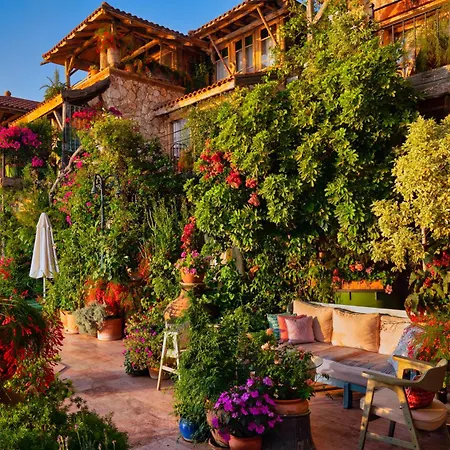 Fidanka ホテル カルカン