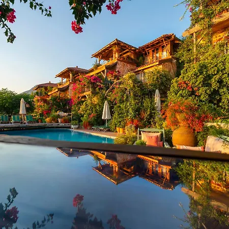 Fidanka カルカン