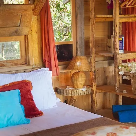 Fidanka カルカン