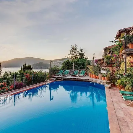 Fidanka 3* カルカン