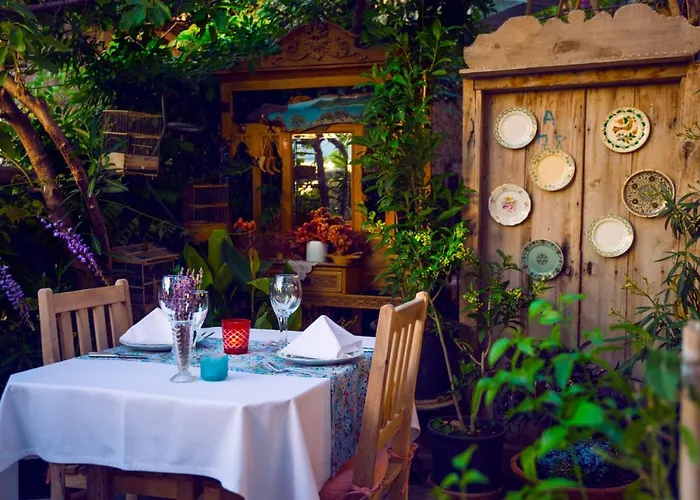 Fidanka Kalkan