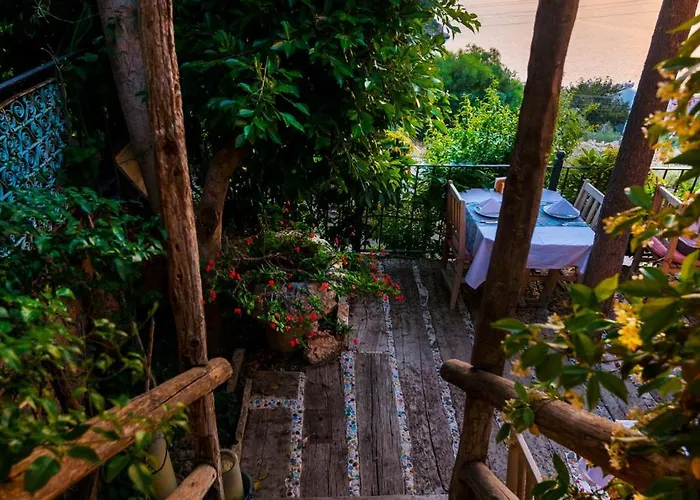 Hotel Fidanka 3*
