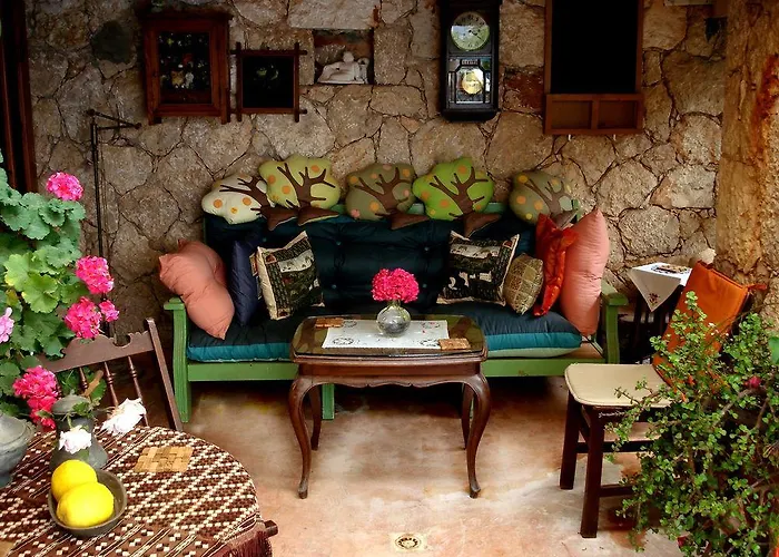 Fidanka Kalkan