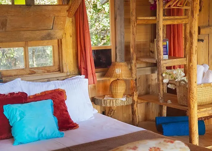 Fidanka Kalkan