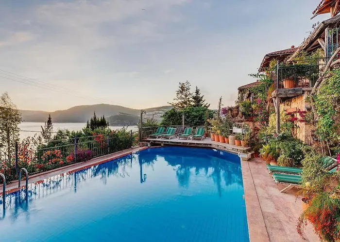 Fidanka 3* Kalkan