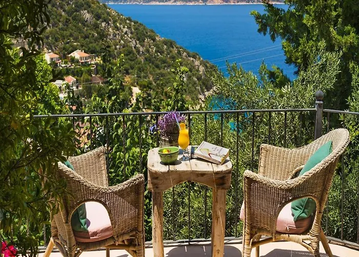 Fidanka Kalkan