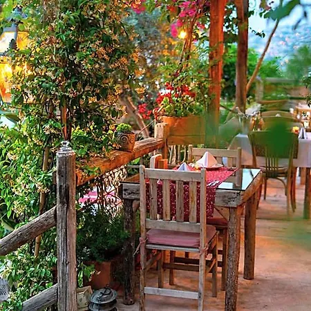 Fidanka 3* Kalkan