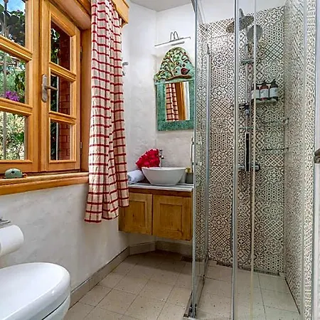 Fidanka Kalkan