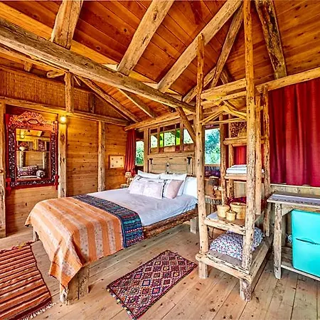 Fidanka Kalkan