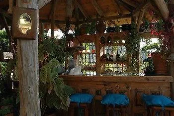 Fidanka Kalkan