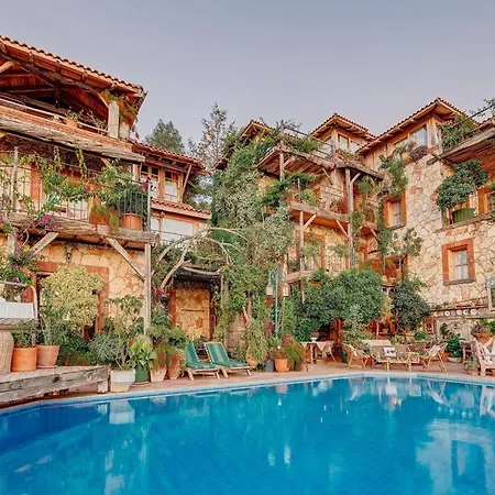 Fidanka Otel 3*