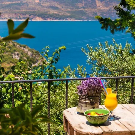 Fidanka Hotell Kalkan