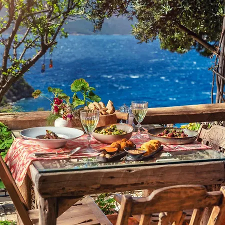 Fidanka Kalkan